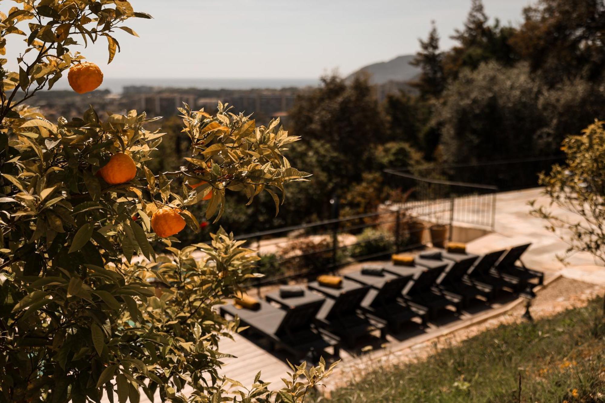 Villa Les Roches Мандельё-ла-Напуль Экстерьер фото