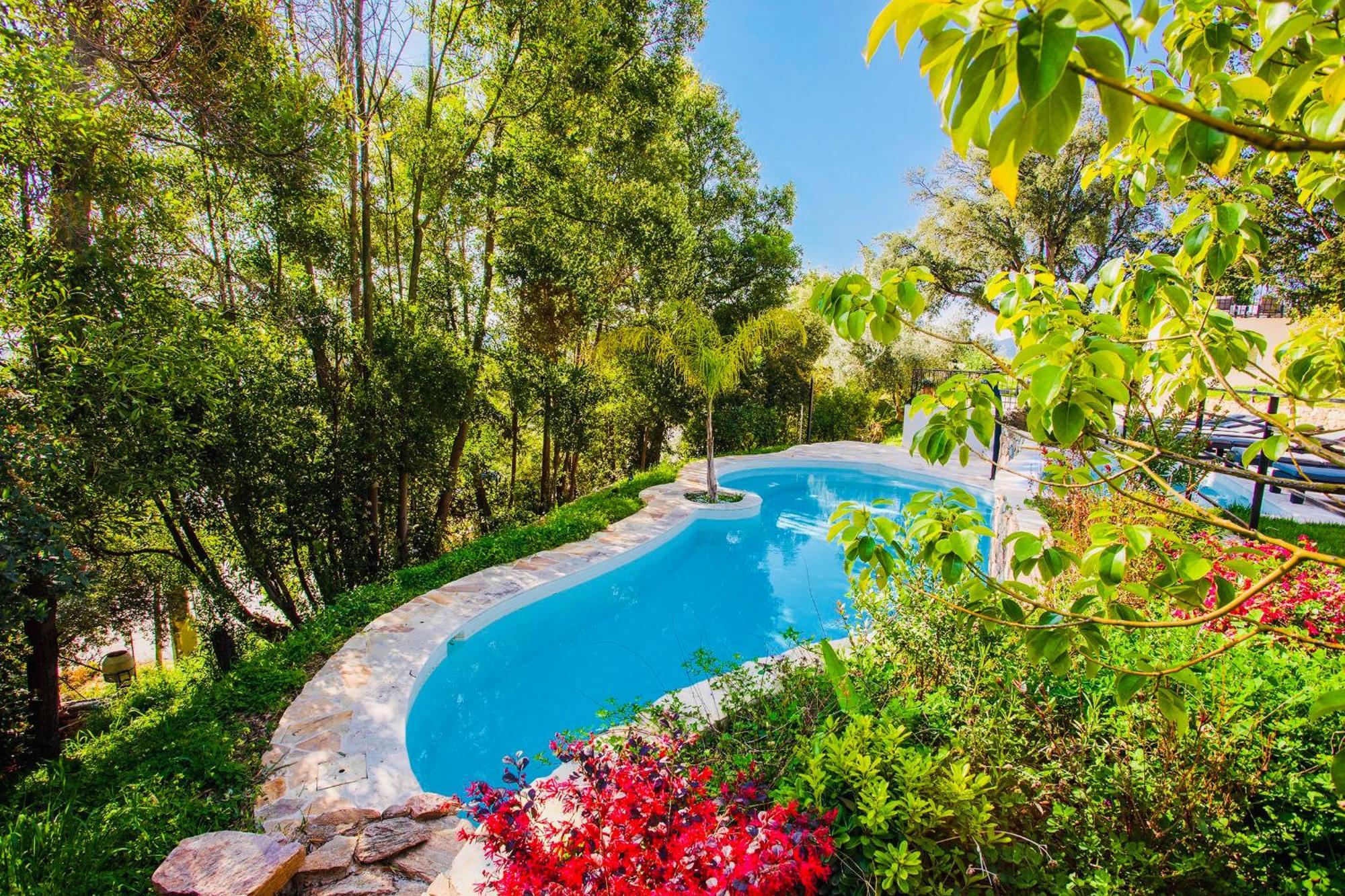 Villa Les Roches Мандельё-ла-Напуль Экстерьер фото